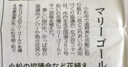 北陸中日新聞掲載