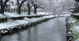 石川県の積雪