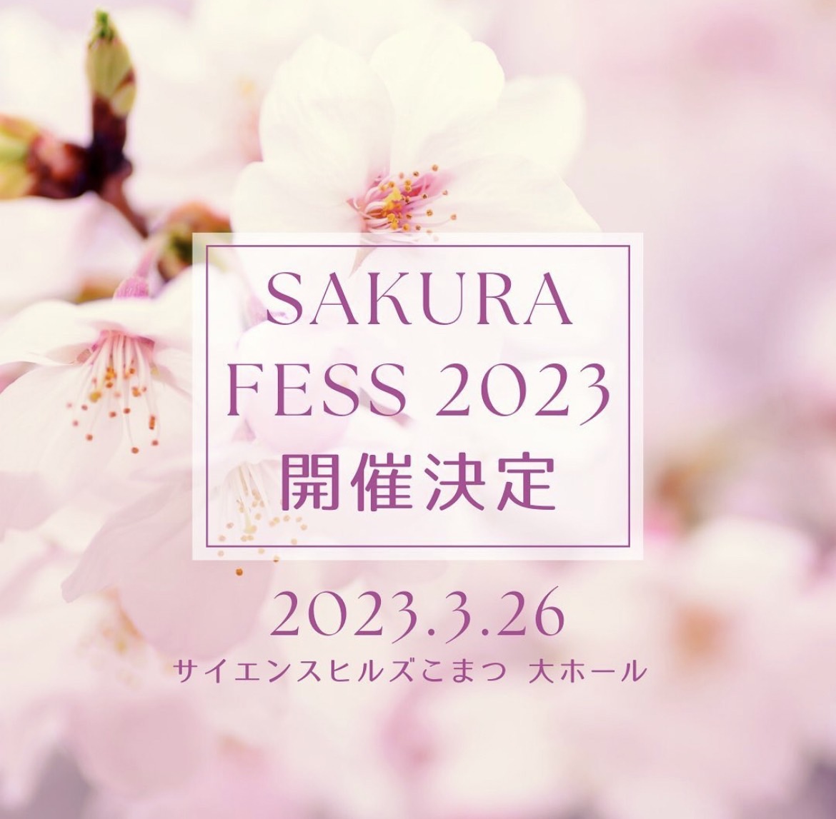 【出店者様募集中】2023.3.26 SAKURA FES 2023 開催