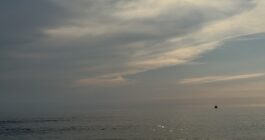 海