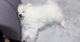 少しずつ