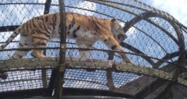 いしかわ動物園