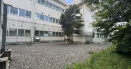 防草シート効果の検証