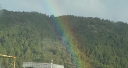 今年も残り2ヶ月