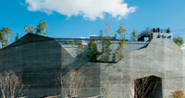 コンクリート打ちっ放し特殊仕上げ