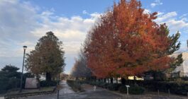 冬の貴重な晴れ間、小松を駆ける。10kmのモーニングラン