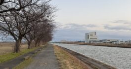 冬の朝焼けラン！