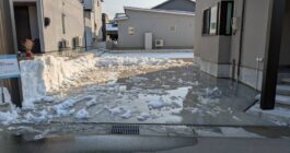 雪解けしてきました