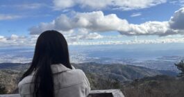 六甲山で見た、今年初めての自然現象