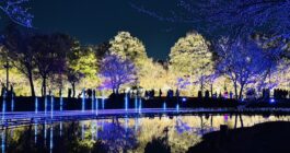 心の癒しを求めて