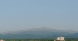 6月入り
