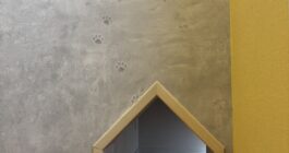 猫用通路