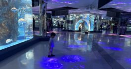 のとじま水族館