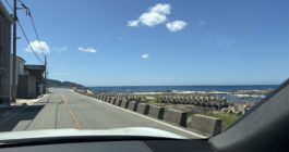 最近ハマっていること